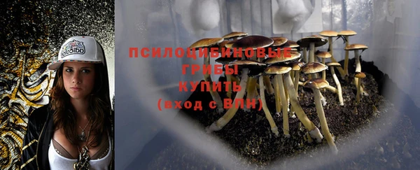 шишки Абинск