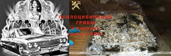 ALPHA PVP Приозерск