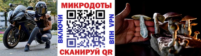 Галлюциногенные грибы Psilocybe  Духовщина 